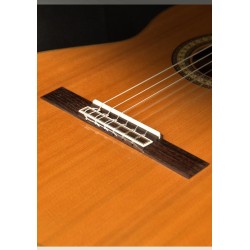 copia de Guitarra Campos Modelo MC-6 Clásica con Cut-Away