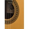 Classical Electroacoustic Guitar Model 2000