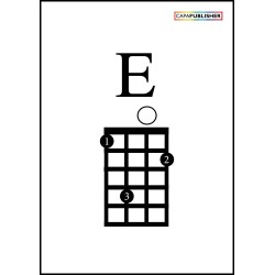 Conjunt Pedagogia per a l'ukelele 24 LunnaSiFaSol Experts en Pedagogia Musical