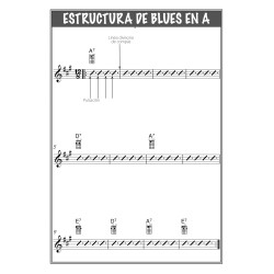 Conjunt Pedagogia per a l'ukelele 24 LunnaSiFaSol Experts en Pedagogia Musical