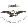 Aquila